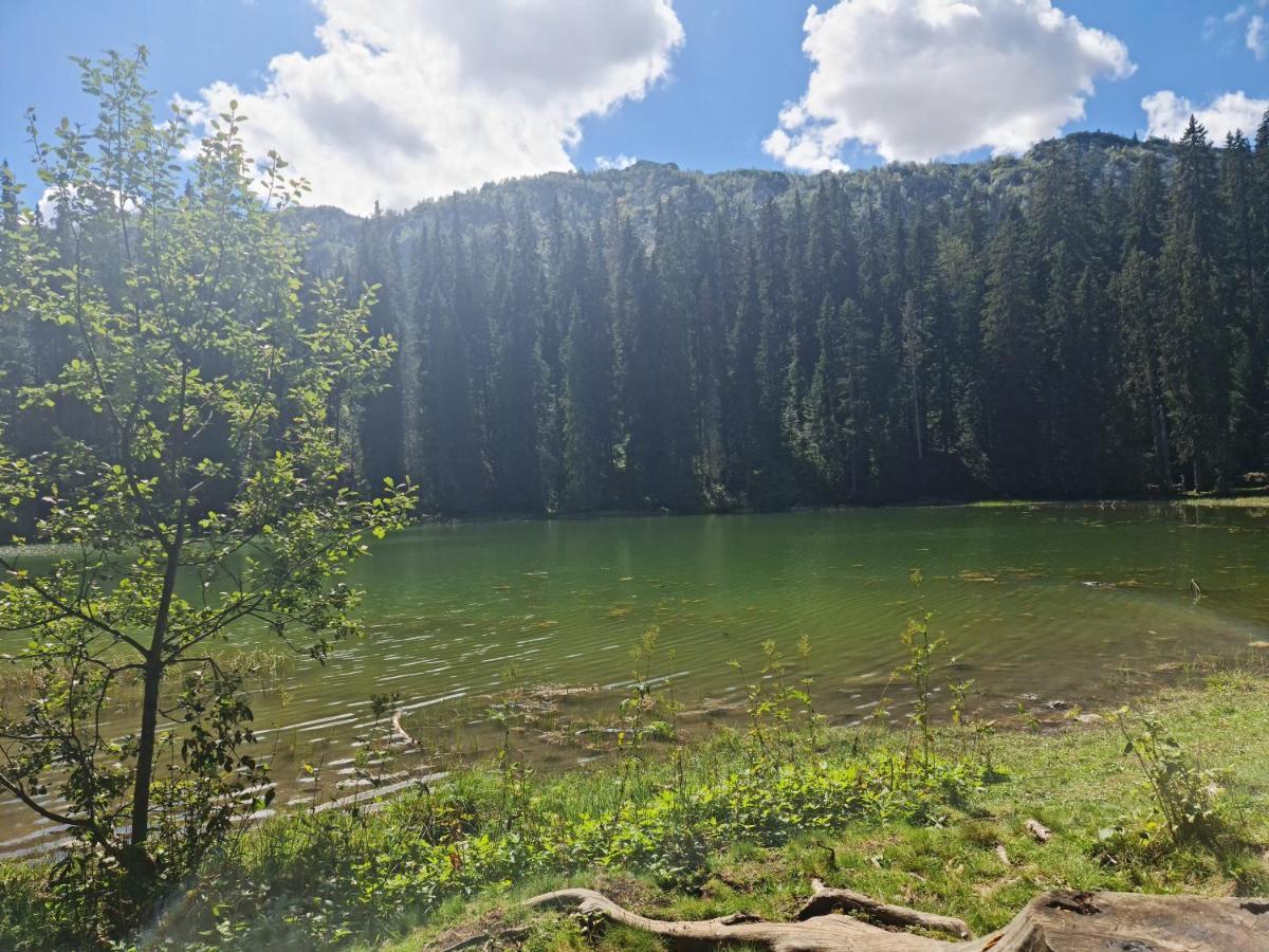 Holiday Home Mountain Zabljak  Bagian luar foto